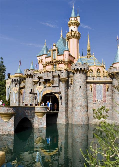 Beyond the Rides: Exciting Experiences at Disneyland